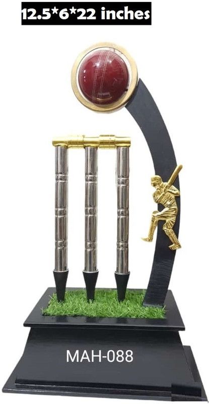 MAH INTERNATIONAL Cricket Tournament Trophy 22 inches Trophy  (22(S))