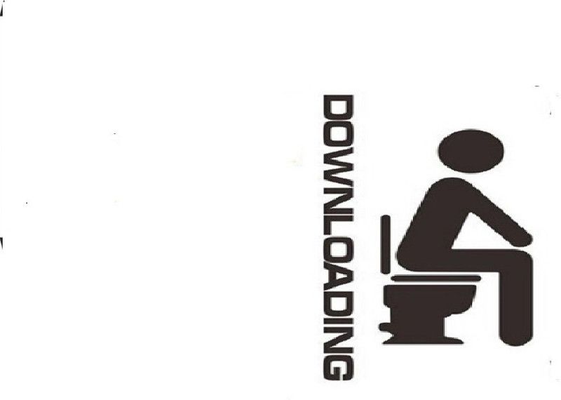 Nema 16 cm Downloading Toilet Vinyl Wall Sticker Self Adhesive Sticker  (Pack of 1)