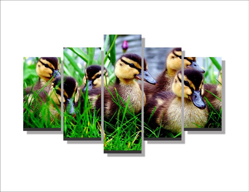 Byte Studio beautiful baby ducks 5 Pieces Canvas Wall Painting Canvas 60 inch x 100 inch Painting  (With Frame)