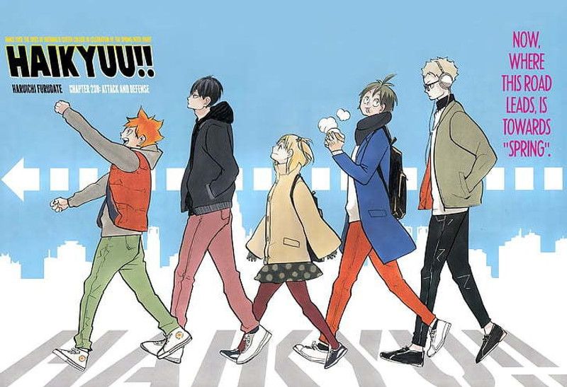Character Haikyuu Hitoka Series Matte Finish Poster Photographic Paper  (12 inch X 18 inch, 12 x 18 Inch Unframed)