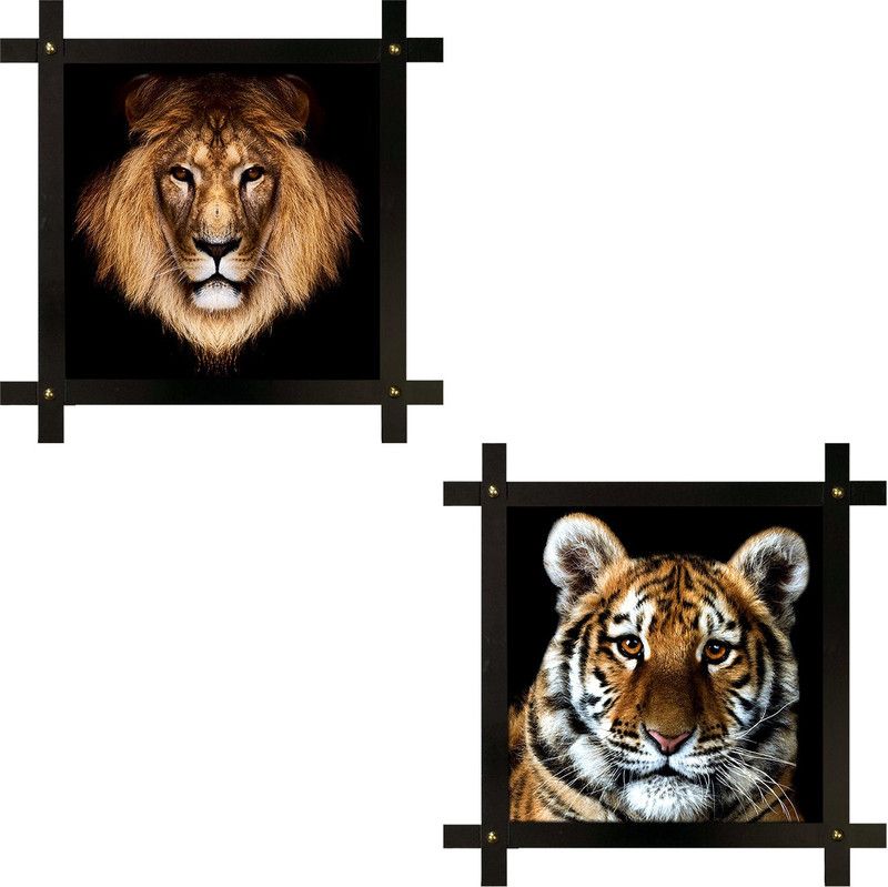 Poster N Frames 2(two) Hand-Crafted Decorative Style Wooden Frame with photo of Tiger each Size :16.5X16.5-inch (42x42-cm) Digital Reprint 16.5 inch x 16.5 inch Painting  (With Frame, Pack of 2)
