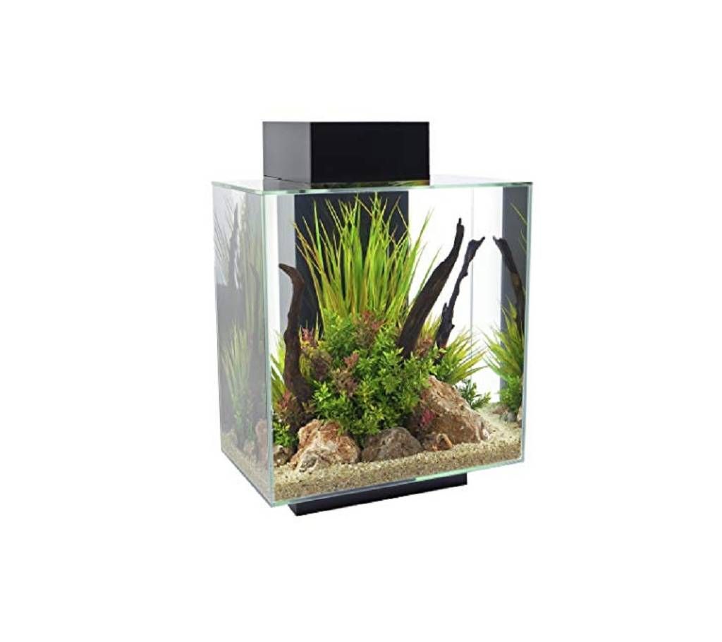 Fluval Edge Aquarium - 12 Gallon 