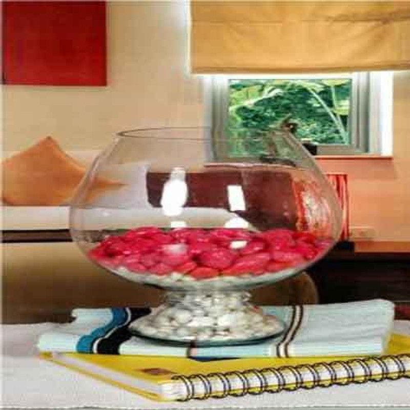 NOGAIYA race5 Glass Vase  (10 inch, Clear)