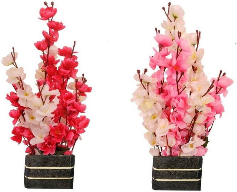 MAURYA Multicolor Orchids Artificial Flower  (11.6 inch, Pack of 2, Flower with Basket)