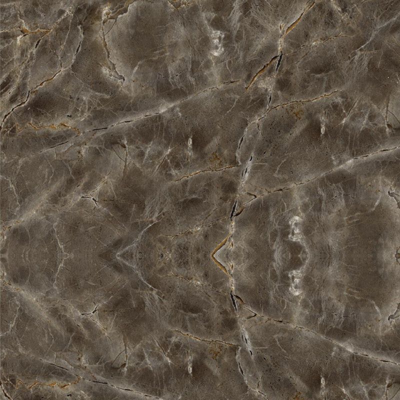 Indian Royals Decorative Brown Wallpaper  (500 cm x 60 cm)