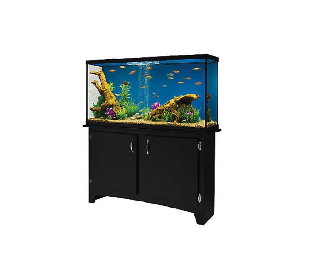 Pet Smart Fish Tanks 