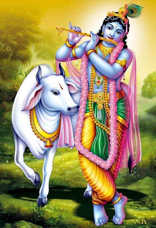Lord Krishna Photo Paper Poster (13 Inch X 19 inch) btakl2002 Photographic Paper  (19 inch X 13 inch, Rolled)