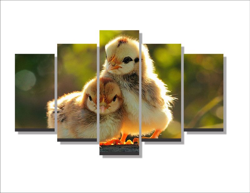 DecorStudio beautiful baby birds 5 Pieces Canvas Wall Painting For Home Canvas 30 inch x 24 inch Painting  (With Frame, Pack of 5)