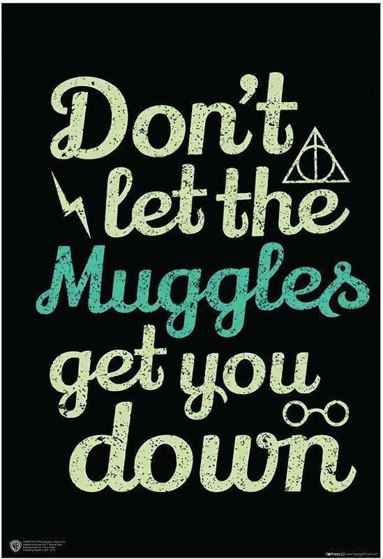 WB Official Licensed Harry Potter Dont Let The Muggles Get You Down Motivation Poster A3+ 13 x 19 inches Paper Print  (19 inch X 13 inch, Rolled)