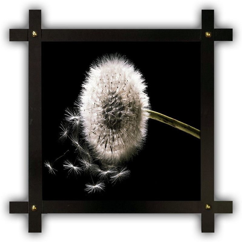 Poster N Frames Cross Wooden Frame Hand-Crafted with photo of flower 25370- crossframe Digital Reprint 16.5 inch x 16.5 inch Painting  (With Frame)