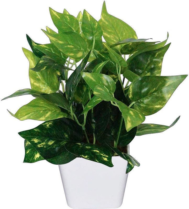 DELMOHUT Artificial Natural Money Plant Leaf Indoor/Outdoor Plant Decorative Plant with Pot (27 cm x 22 cm ) Green Assorted Artificial Flower with Pot  (13 inch, Pack of 21, Flower with Basket)