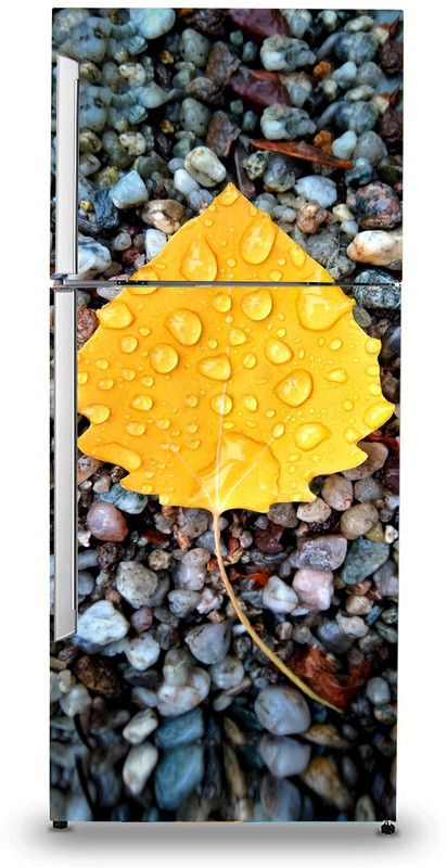 VVWV 152 cm Fridge Sticker Self Adhesive Sticker  (Pack of 1)