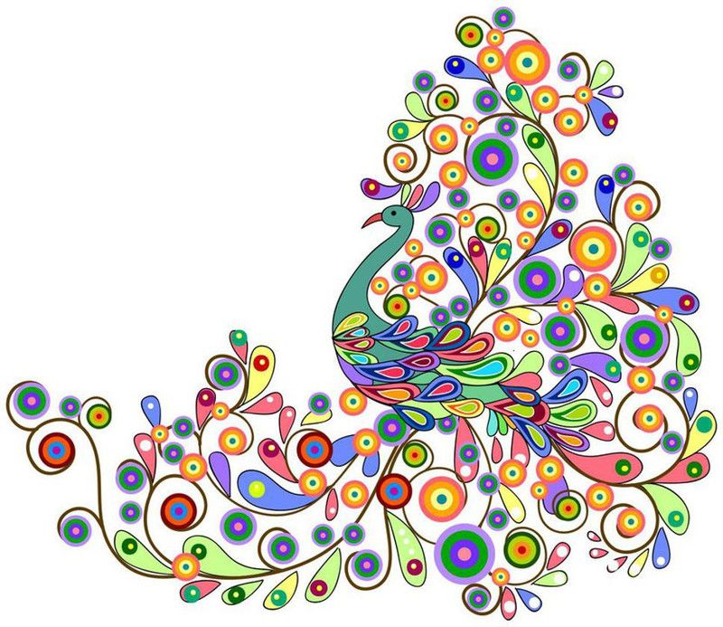 skgraphics 60 cm Peacock colorful curves decoration wall sticker Self Adhesive Sticker  (Pack of 1)