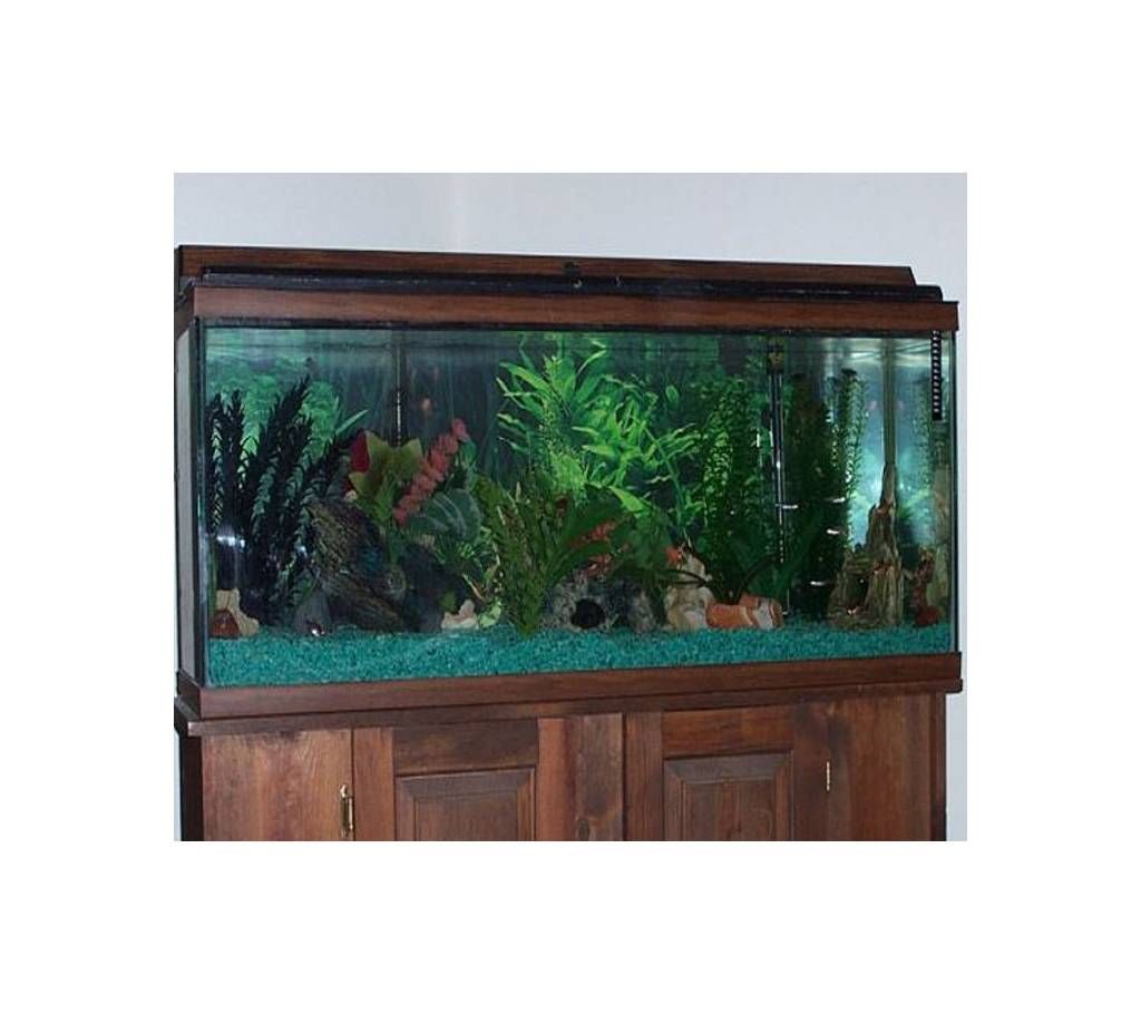 Maryland Aquarium 90 Gallon 