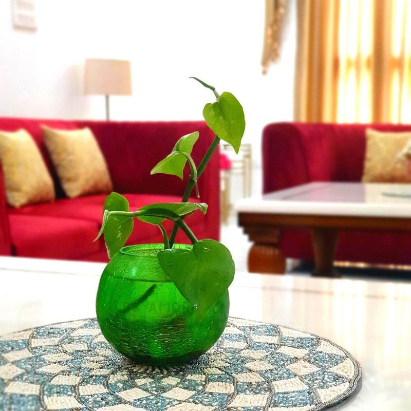 BS AMOR Glass Vase Glass Flower Vase Glass Flower Pot Glass Pot Round Vase Handmade for Decorate House Artificial Flowers Money Plants Home Decor Plants Colour 4x4 inch vase only Glass Vase  (4 inch, Green)