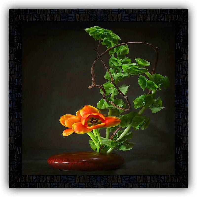 Poster N Frames framed poster of Flower floral-25436 Digital Reprint 14 inch x 14 inch Painting  (With Frame)