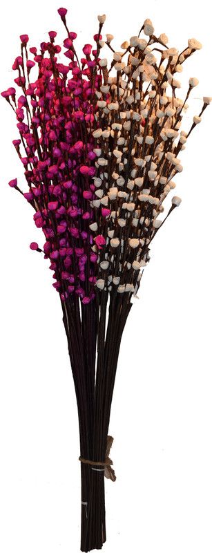 CRAFTWAFT Pink, White Lily Artificial Flower  (31 inch, Pack of 1, Flower Bunch)