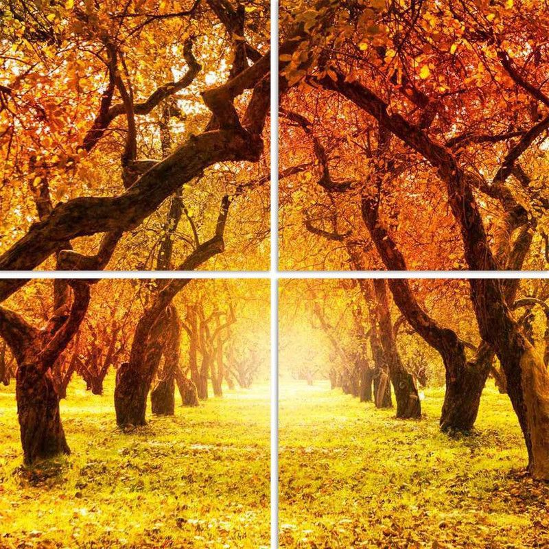 Autumn Landscape Split Art Painting Panel on Sunboard 26 x 26 inch (66 x 66 cms) Digital Reprint 26 inch x 26 inch Painting
