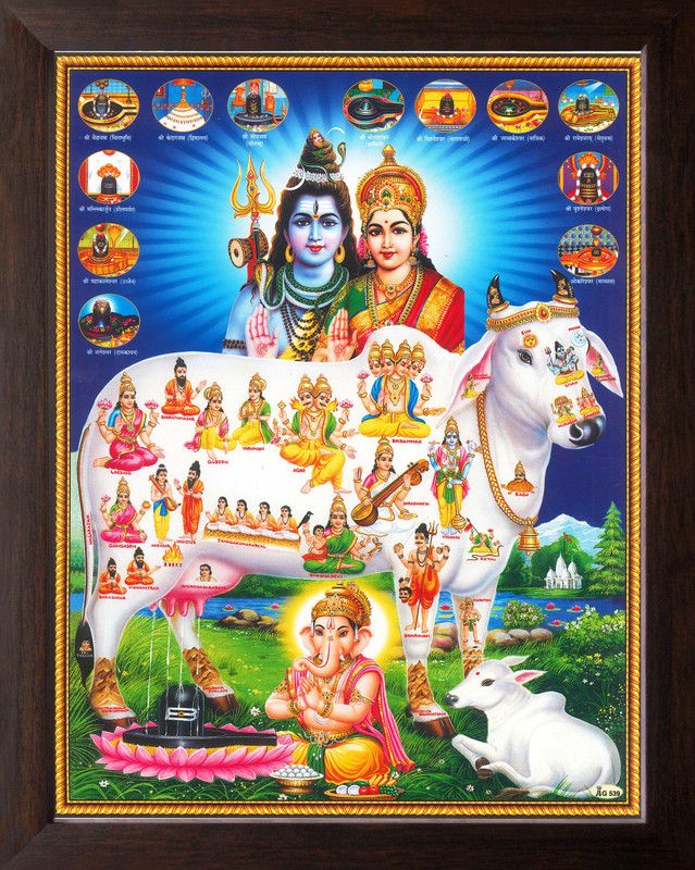 Artisan Cart Lord Shiva with Kamadhenu Cow and Various God, HD Printed Painting with Plane Brown Frame, Digital Reprint 12 inch x 9 inch Painting  (With Frame)
