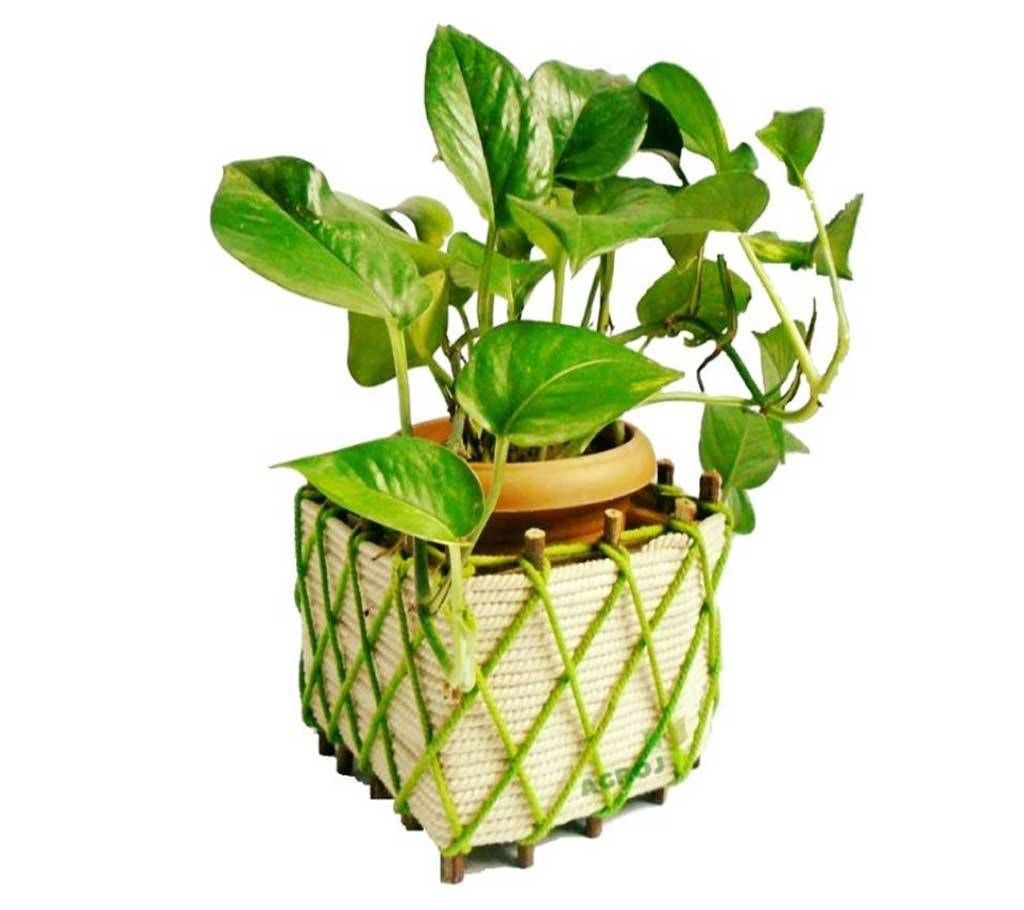 Jutes Showpiece Square Box