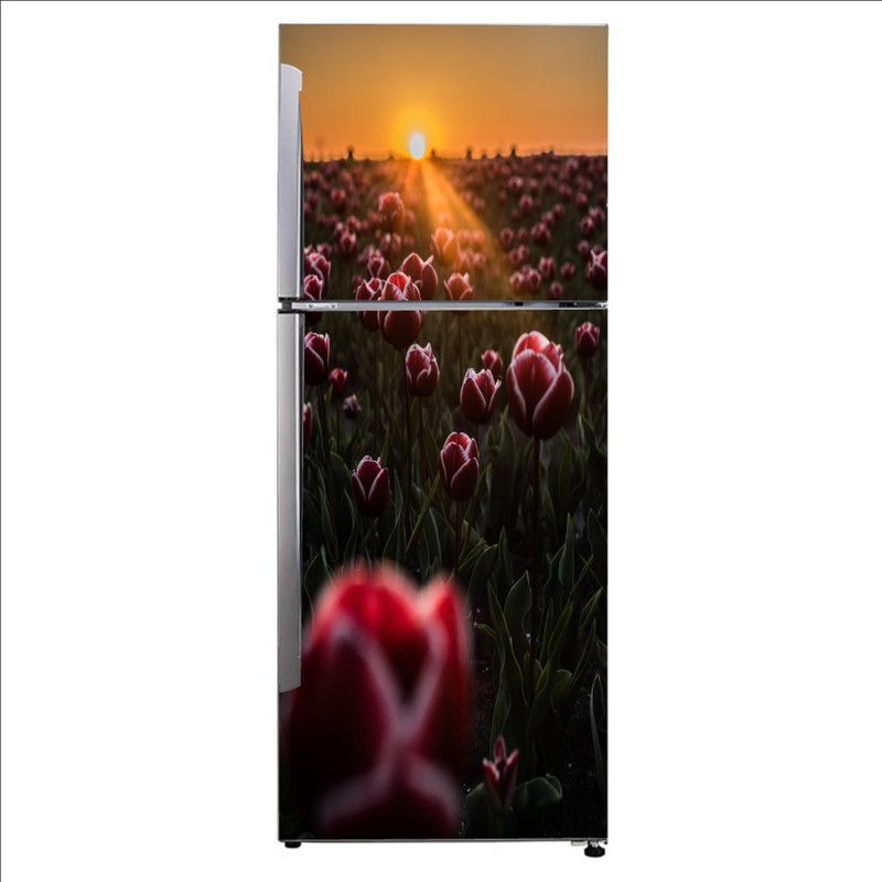 K2A Studio 60 cm pink light plant tulip natural environment Self Adhesive Sticker  (Pack of 1)