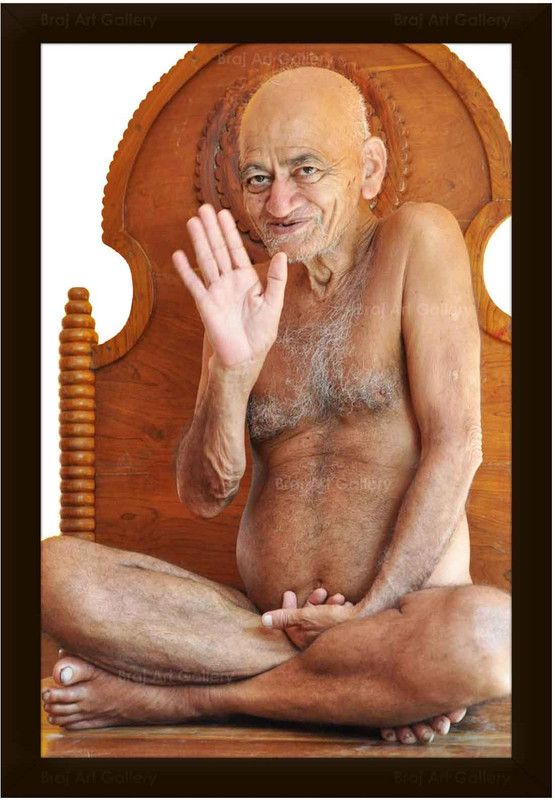 Braj Art Gallery Acharya Shri Vidyasagar Ji Maharaj Blessings Photo Frame Digital Reprint 19.5 inch x 13.5 inch Painting  (With Frame)
