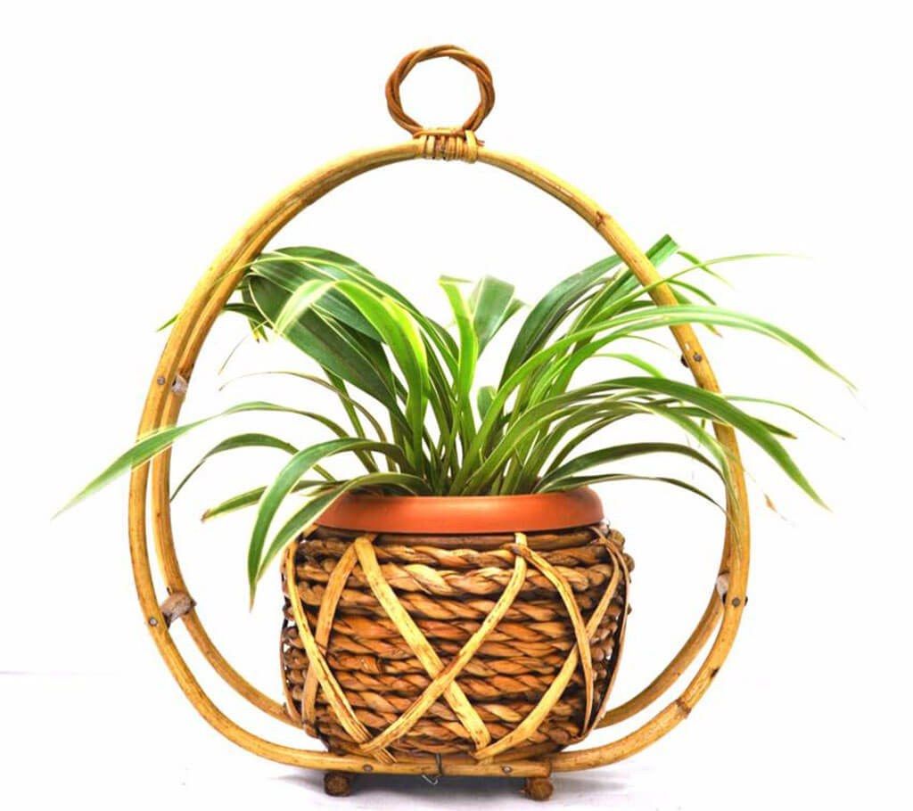 Hanging Bird House Plant Tob