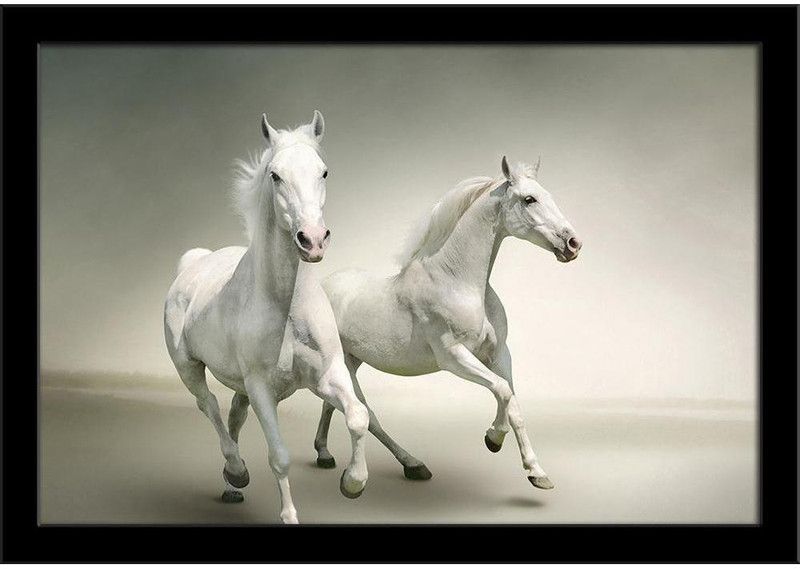 White Horses D6 Paper Poster Black Frame | Top Acrylic Glass 19inch x 13inch (48.3cms x 33cms) Paper Print  (13 inch X 19 inch, Framed)
