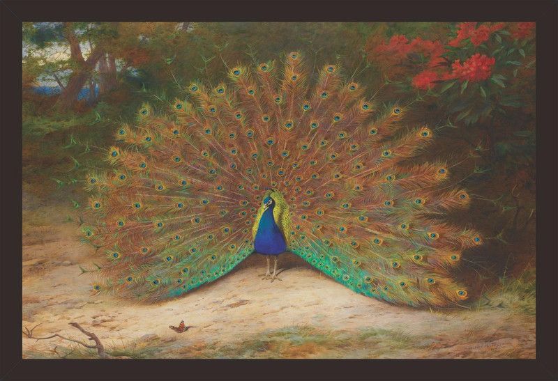 Mad Masters Peacock and Butterfly 1 Piece wooden framed painting |Wall Art | Home Décor | Painting Art | Unique Design | Attractive Frames Digital Reprint 12 inch x 18 inch Painting  (With Frame)