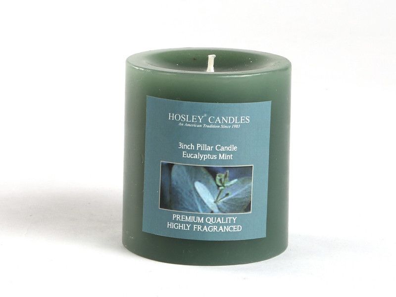 Hosley Eucalyptus Mint 3 inch Pillar Candle  (Grey, Pack of 1)
