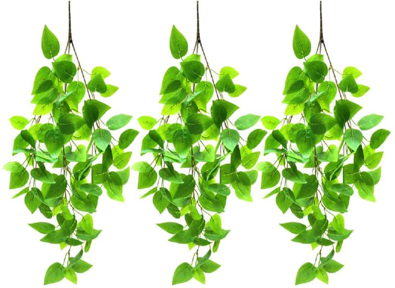 AAVANA GREENS Artificial Creeper Hanging Bushes for Home, Office, Indoor Decoration Green Wild Flower Artificial Flower  (27 inch, Pack of 3, Vine & Creepers)