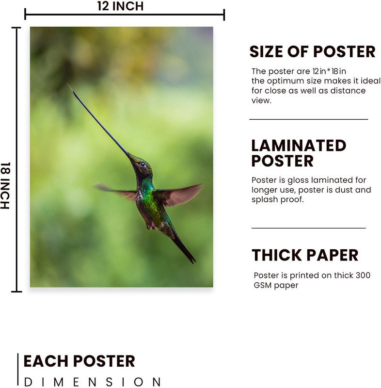 Birds-Pattern Portrait Wall Poster Art Print for Office , Home, Reading Room Décor (12x18)Inch Glossy Paper Print (12inch X 18inch) Paper Print  (18 inch X 12 inch, Rolled)