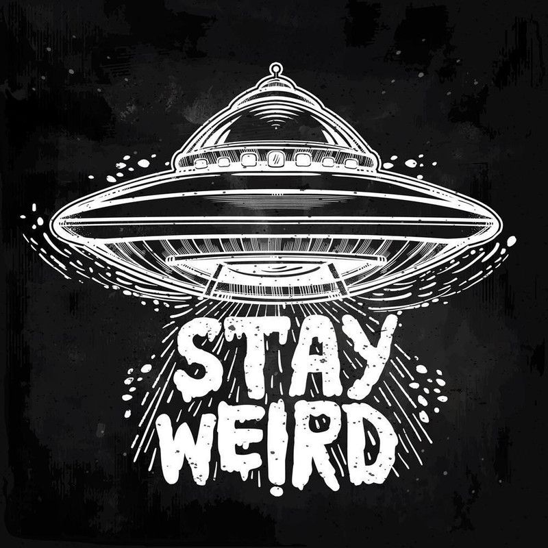 Pitaara Box 71.12 cm Stay Weird Unframed Glossy PVC Vinyl Wall Sticker Decal Self Adhesive Sticker  (Pack of 1)