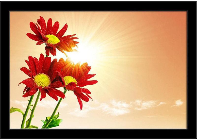 Three Red Flowers Paper Poster Black Frame | Top Acrylic Glass Paper Print  (13 inch X 19 inch)