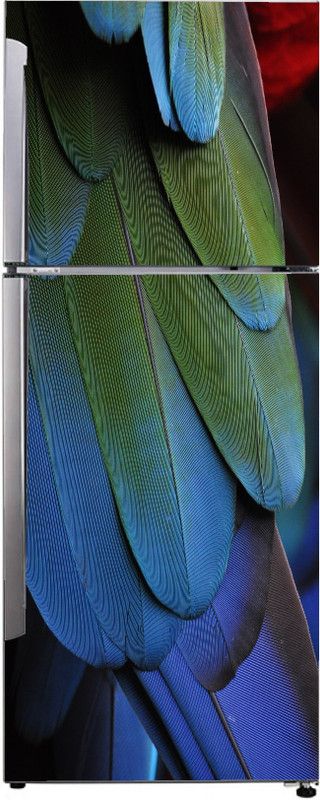 Advait Designs 60 cm Advait Designs Decorative abstract brightly multicolor parrot feathers, bird, species wallpaper sticker for fridge décor Self Adhesive Sticker  (Pack of 1)