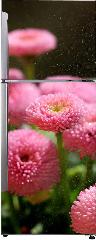 Advait Designs 60 cm Advait Designs Decorative so pretty pink flower and rain drops, nature, flower garden wallpaper sticker for fridge décor Self Adhesive Sticker  (Pack of 1)