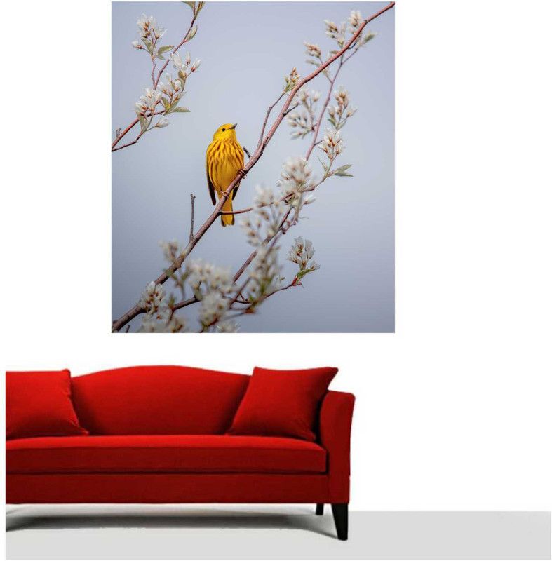 sudrashya YELLOW BEAUTIFUL BIRD Canvas 36 inch x 24 inch Painting  (Without Frame)