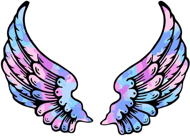 decor kraft 58 cm Colourfull Wings Designs Wall Sticker Self Adhesive Sticker  (Pack of 1)