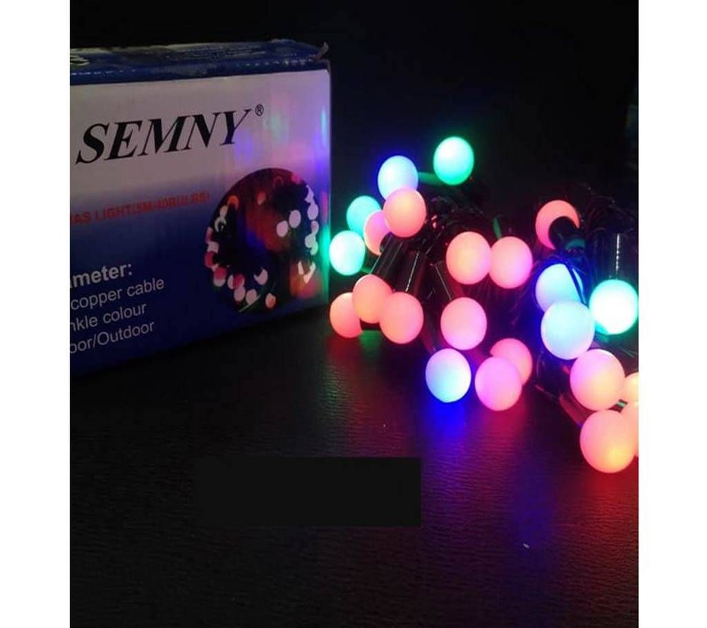 SEMNY Christmas Lights