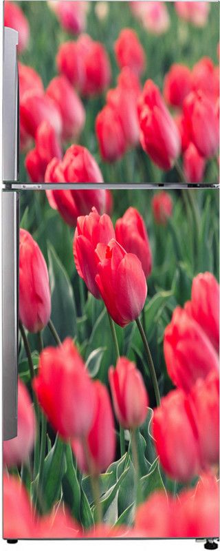 Khatwal Enterprises 60 cm Decorative beautiful roses garden wallpaper sticker Self Adhesive Sticker  (Pack of 1)