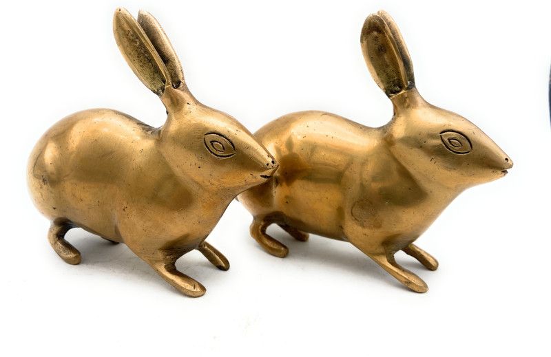 Bhunes Brass Rabbit | Rabbit | Home Decor| Gift | Sculptures | Murti | Showpeices |Brass Decoratives | Gift | Set Of 2 Decorative Showpiece - 11 cm  (Brass, Gold)