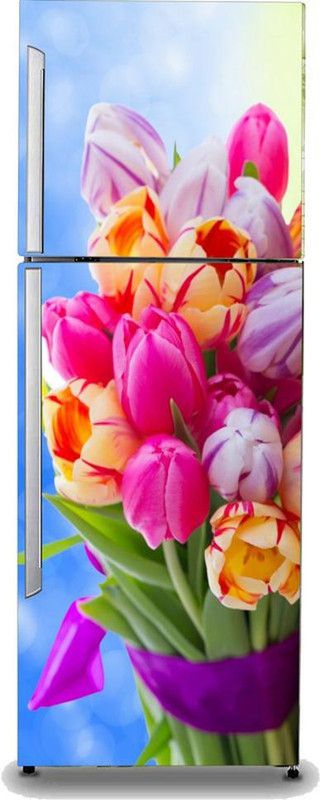 BALKRISHNA WALL STICKER 161 cm double door fridge multicolor 3d sticker size- 60x161cm Self Adhesive Sticker  (Pack of 1)