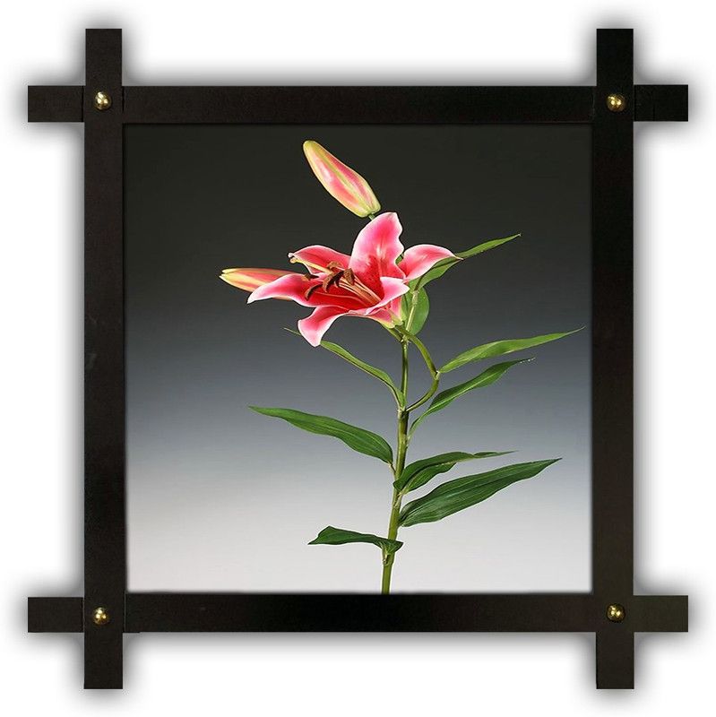 Poster N Frames Cross Wooden Frame Hand-Crafted with photo of Flower (floral) 25448-crossframe Digital Reprint 16.5 inch x 16.5 inch Painting  (With Frame)