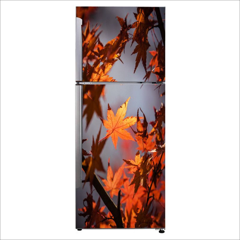 Advait Designs 60 cm Advait Designs Decorative autumn tree leaves with blur background Extra Large Fridge Sticker Self Adhesive Sticker  (Pack of 1)