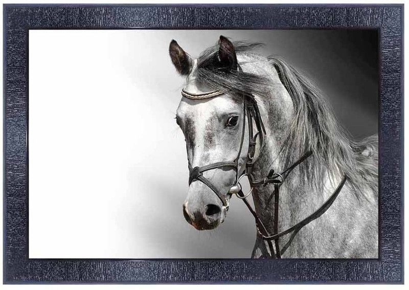 pnf Vastu Horse Frames Wood Photo Frames with Acrylic Sheet (Glass)7499- Digital Reprint 10 inch x 14 inch Painting  (With Frame)