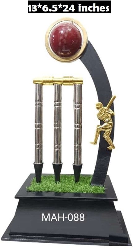 MAH INTERNATIONAL Cricket Tournament Trophy 24 inches Trophy  (24 (M))