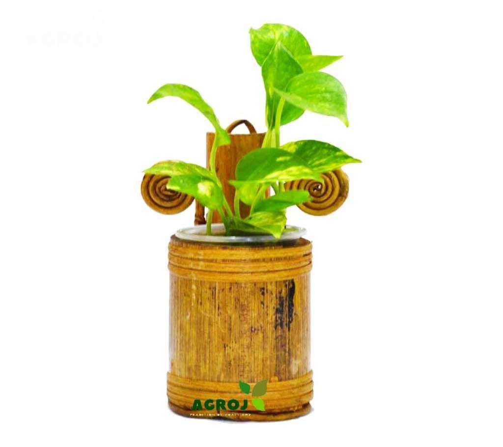 Wall Hanging Pot