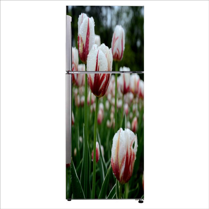 Psychedelic Collection 60 cm Decorative Beautiful tulip flower with nature fridge sticker Self Adhesive Sticker  (Pack of 1)