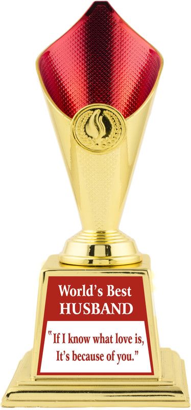 AARK INDIA BEST HUSBAND TROPHY/AWARD/GIFT (PC 00332) Trophy  (9 Inch)