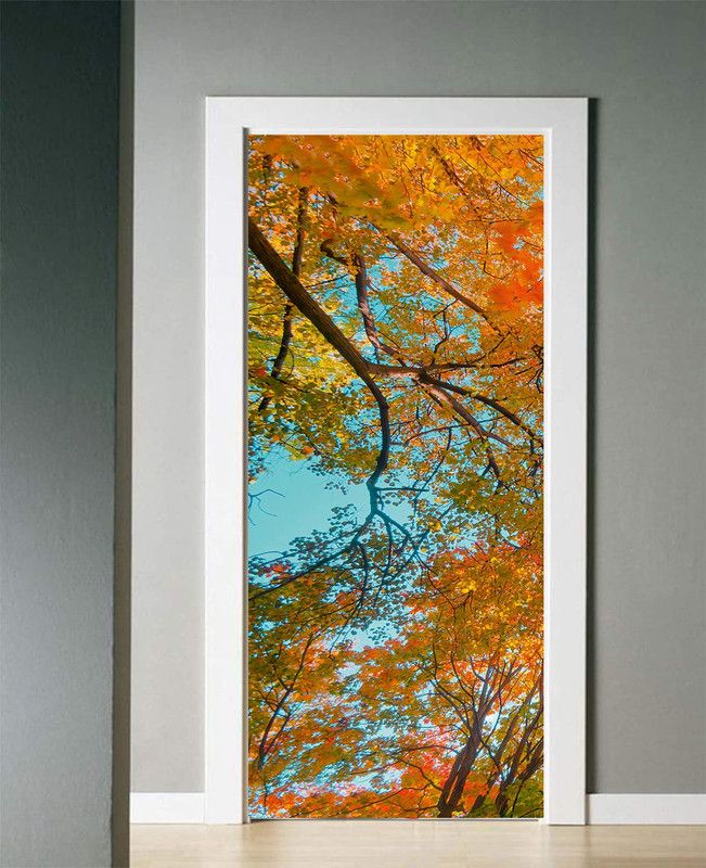 COLOR SOLUTION Decorative Multicolor Wallpaper  (91 cm x 213 cm)